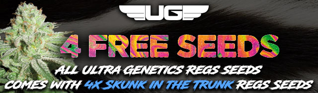 Get x4 Free Skunk in the Trunk Seeds By Ultra Genetics
