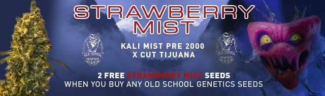 Buy any Strain from Old School Genetics and get 2 Strawberry Mist Seeds for FREE!
