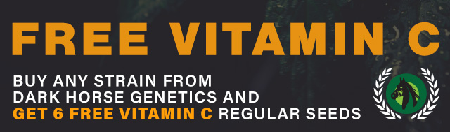 Get 6 Free Vitamin C Regular Seeds With Every Pack Dark Horse Genetics Seeds