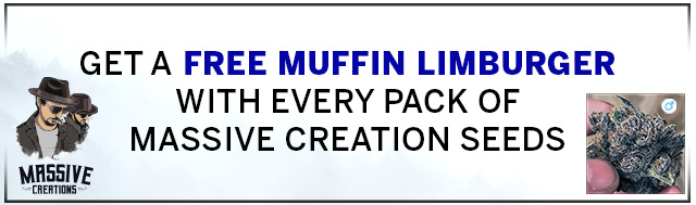 Get A Free Muffin Limburger With Every Pack Of Massive Creation Seeds
