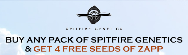 Buy Any Pack Of Spitfire Genetics & Get 4 Free Seeds Of Zapp
