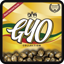 DNA Genetics GYO Collection Wholesale